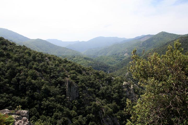 2007-07 Céret 012.jpg